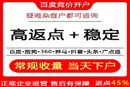 行业应用案例：SEM代运营公司的智慧与策略